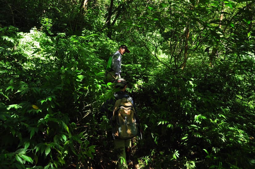 cover image: 隘寮古道